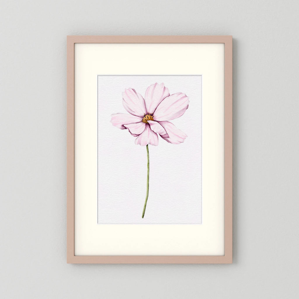 Watercolor Cosmos 