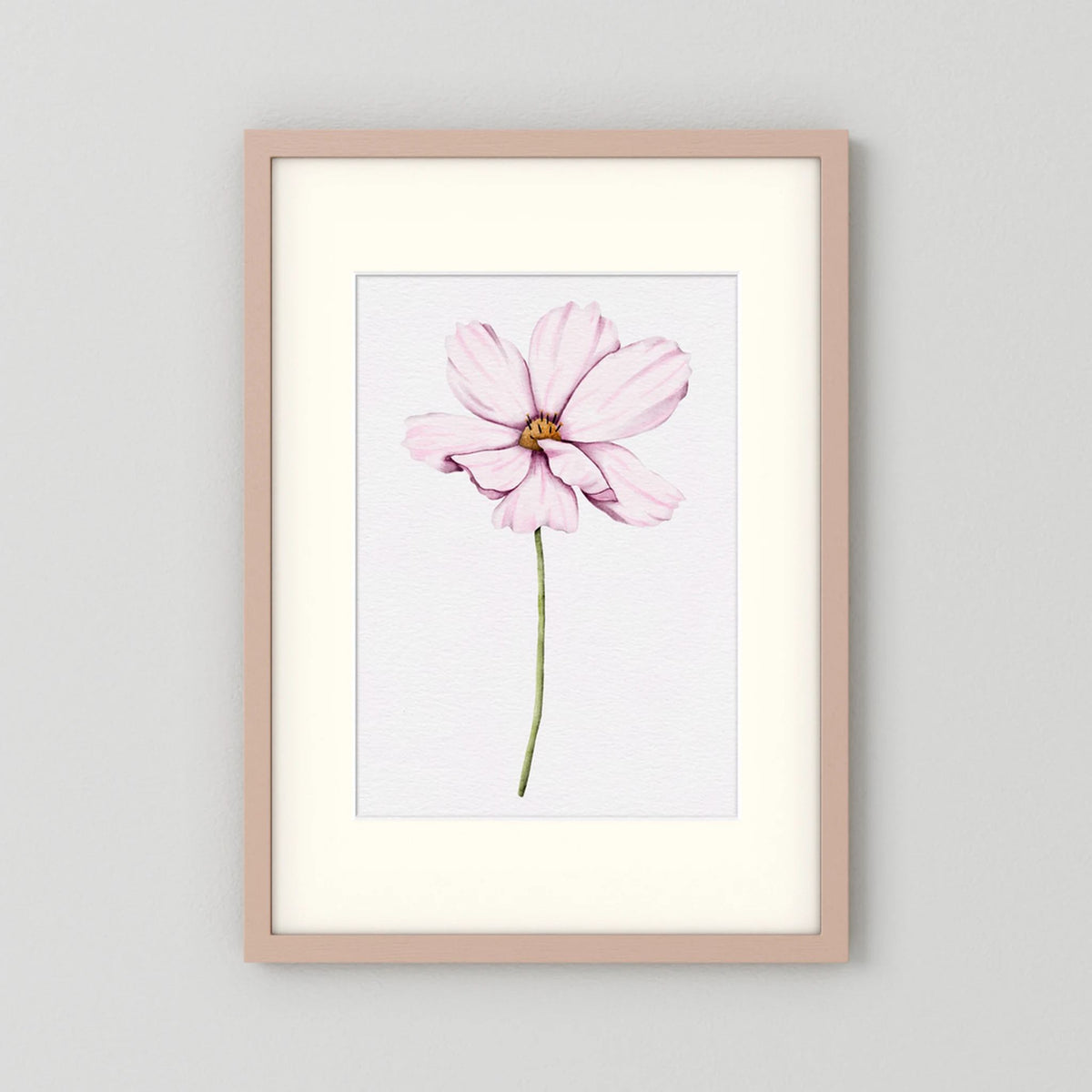 Watercolor Cosmos 