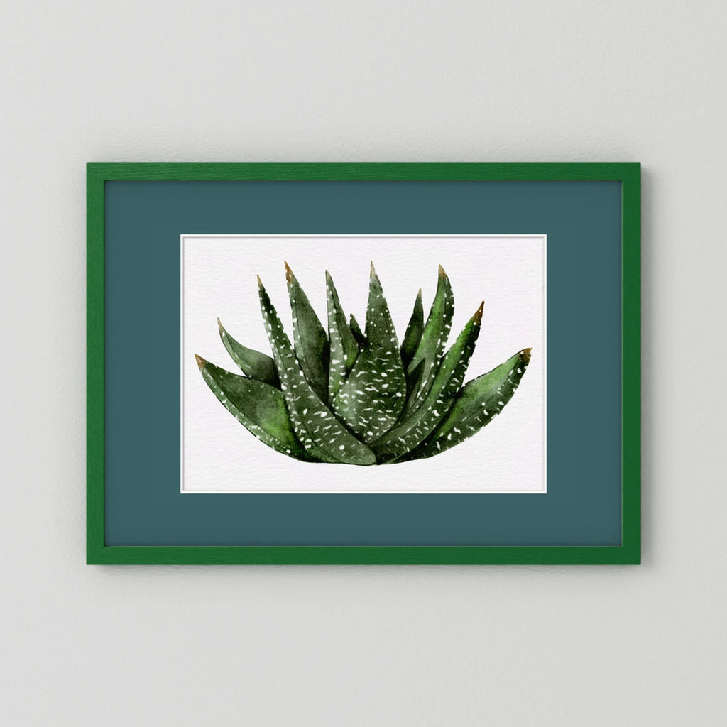Watercolor Spiky Succulent