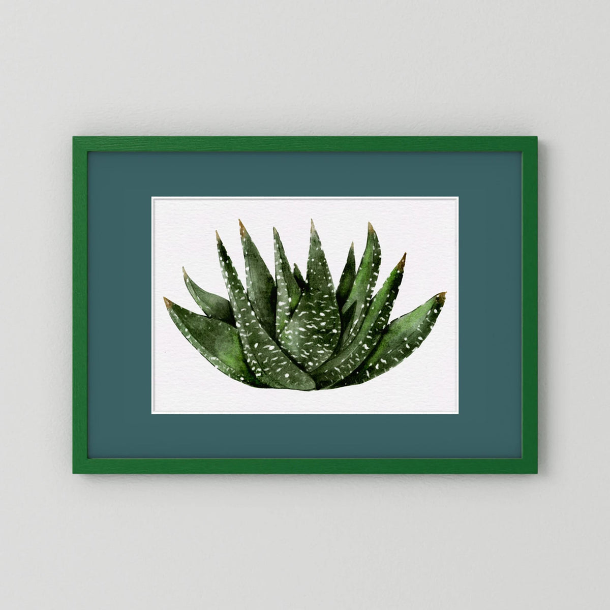 Watercolor Spiky Succulent