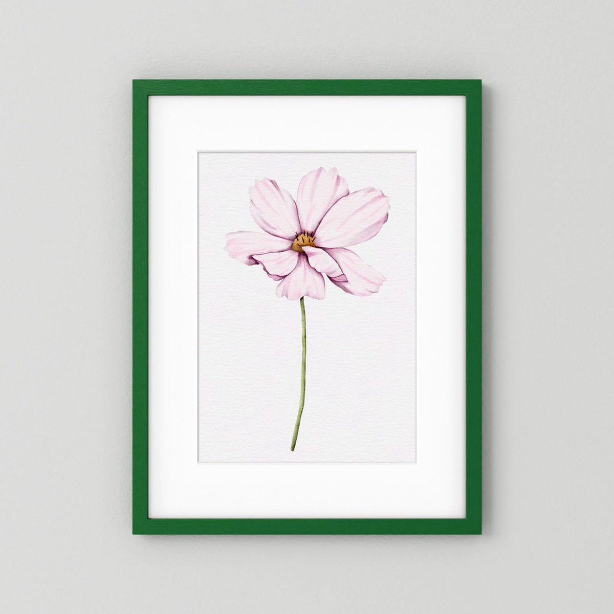 Watercolor Cosmos 