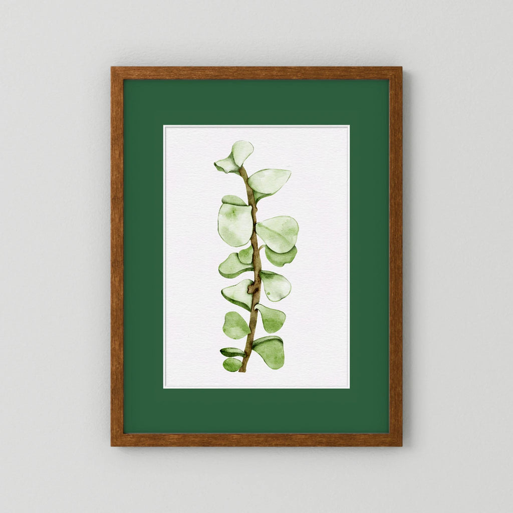 Watercolor Tall Succulent