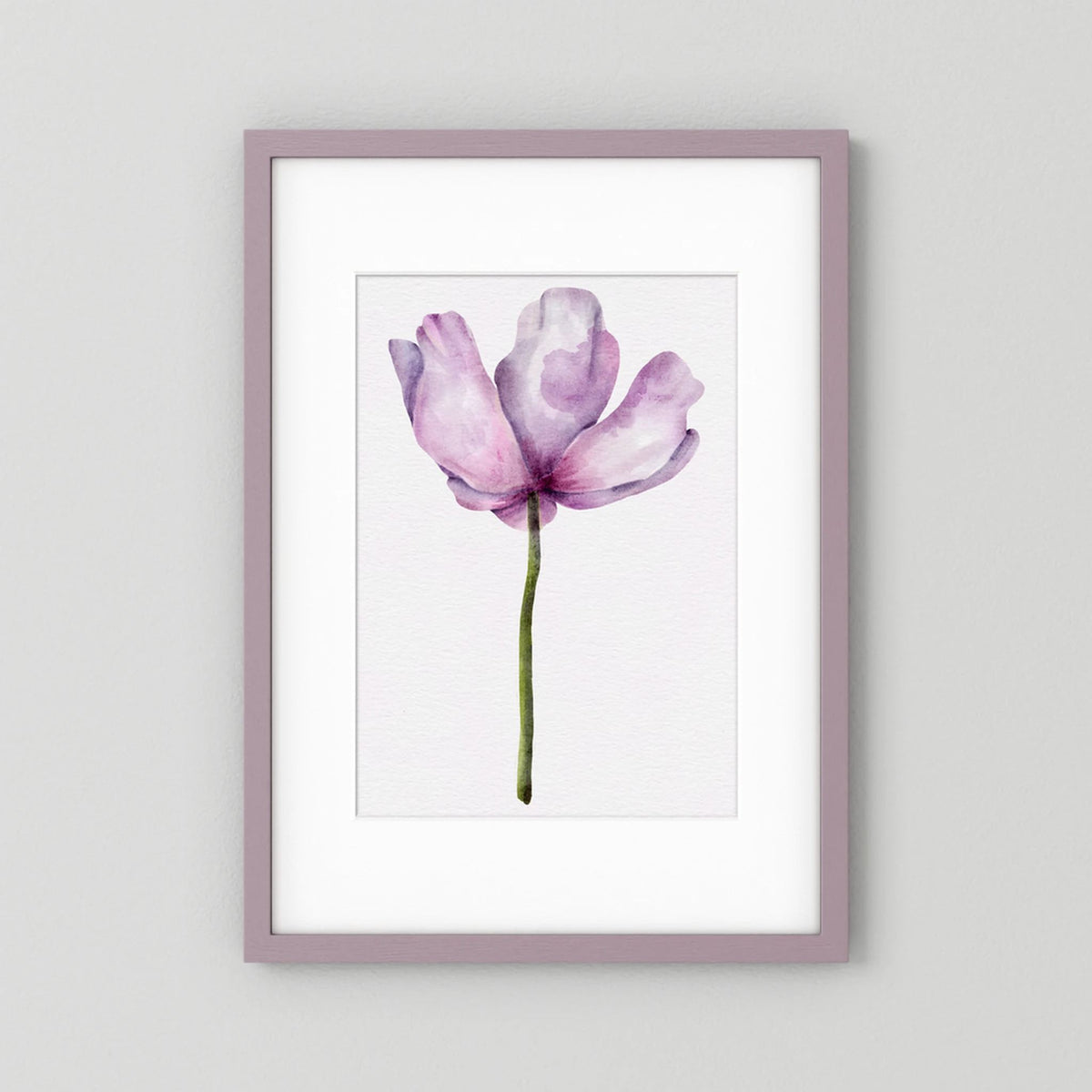 Watercolor Anemone 
