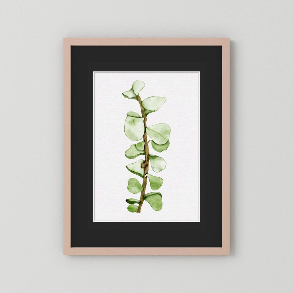 Watercolor Tall Succulent