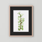 Watercolor Tall Succulent