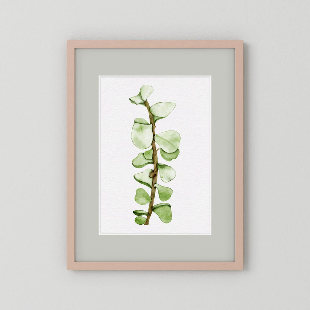 Watercolor Tall Succulent
