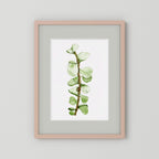 Watercolor Tall Succulent