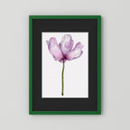Watercolor Anemone 
