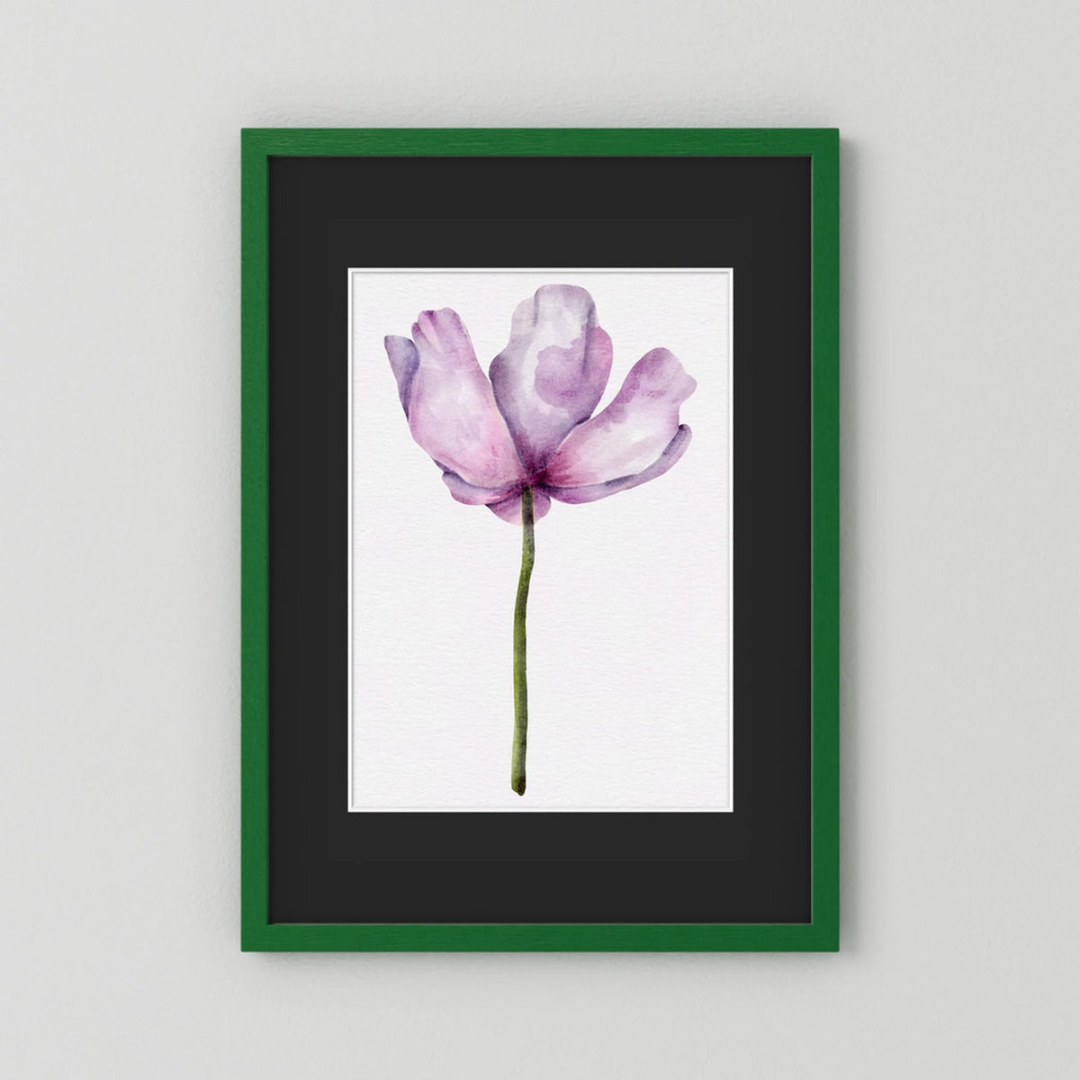 Watercolor Anemone 