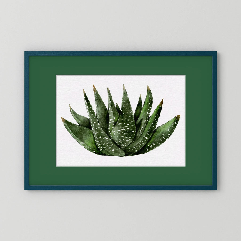Watercolor Spiky Succulent
