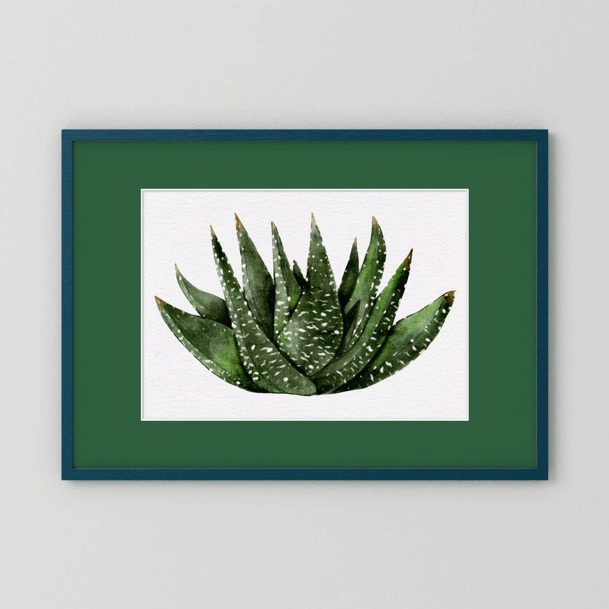 Watercolor Spiky Succulent