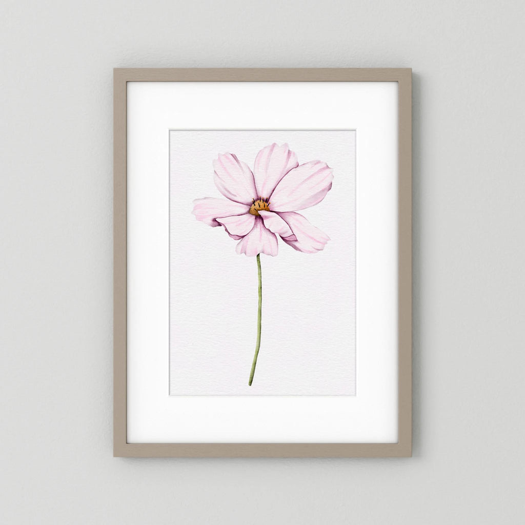 Watercolor Cosmos 