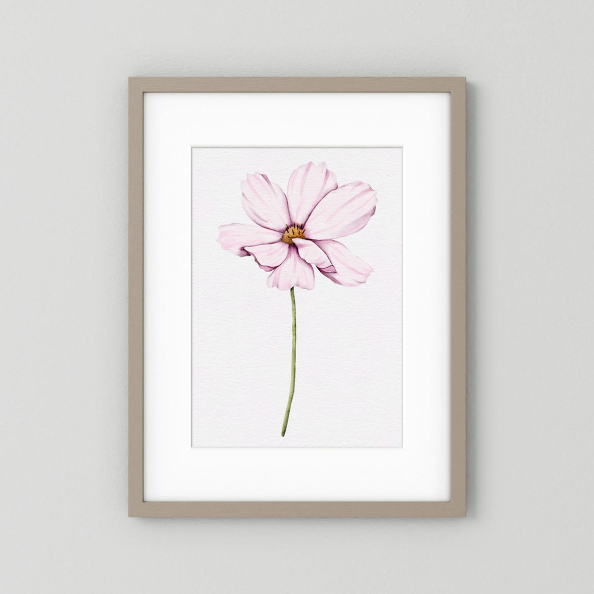 Watercolor Cosmos 