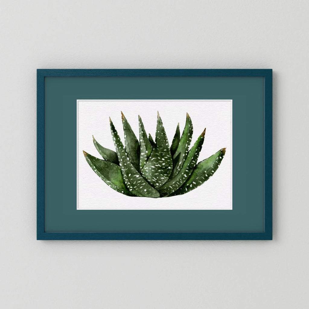 Watercolor Spiky Succulent