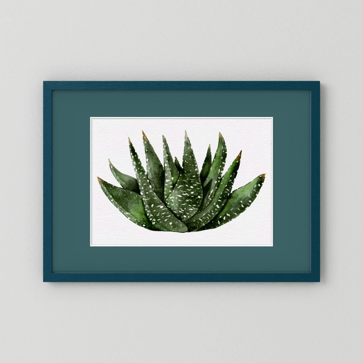Watercolor Spiky Succulent