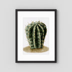 Watercolor Spiky Cactus