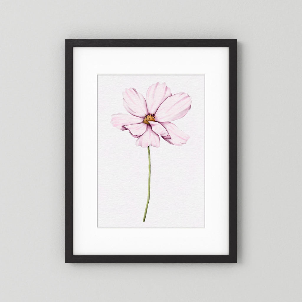 Watercolor Cosmos 