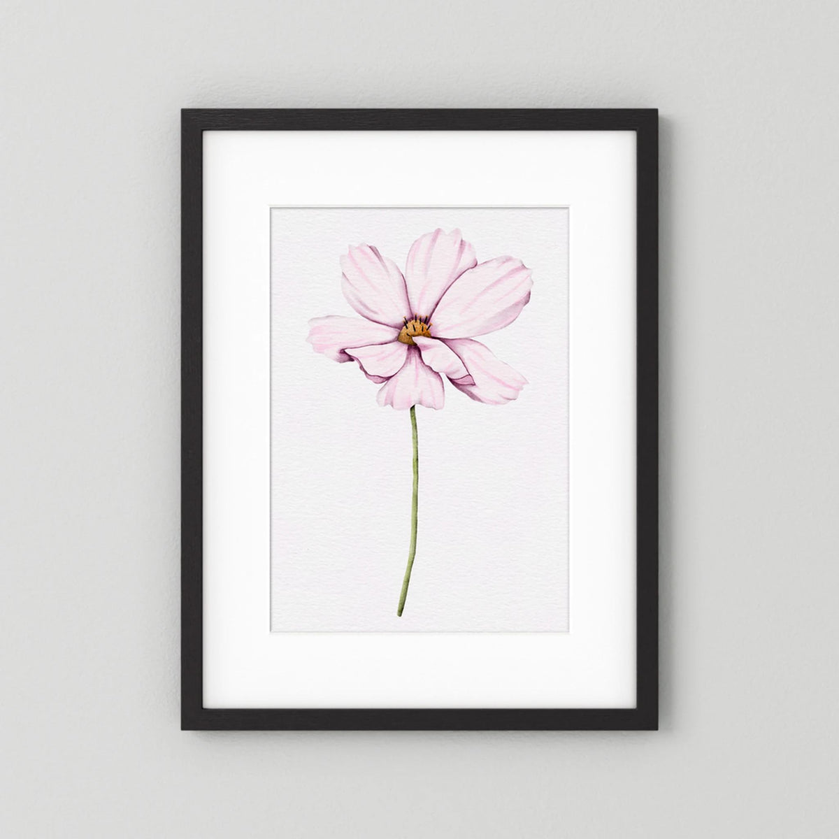 Watercolor Cosmos 