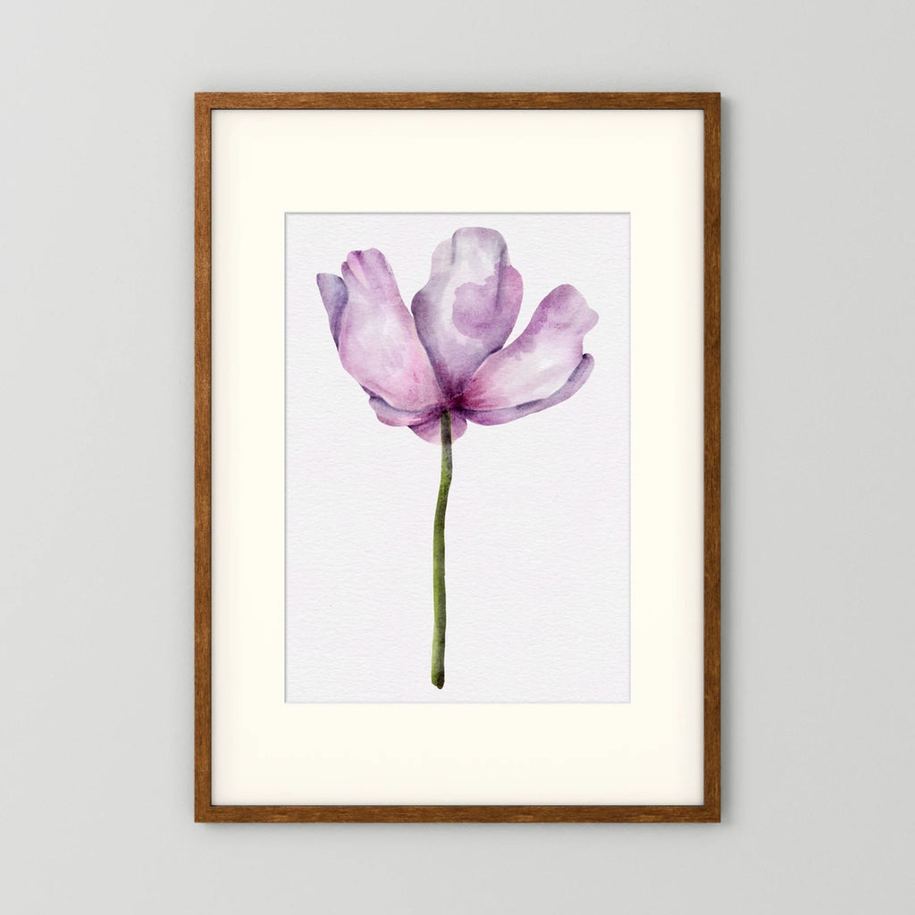 Watercolor Anemone 