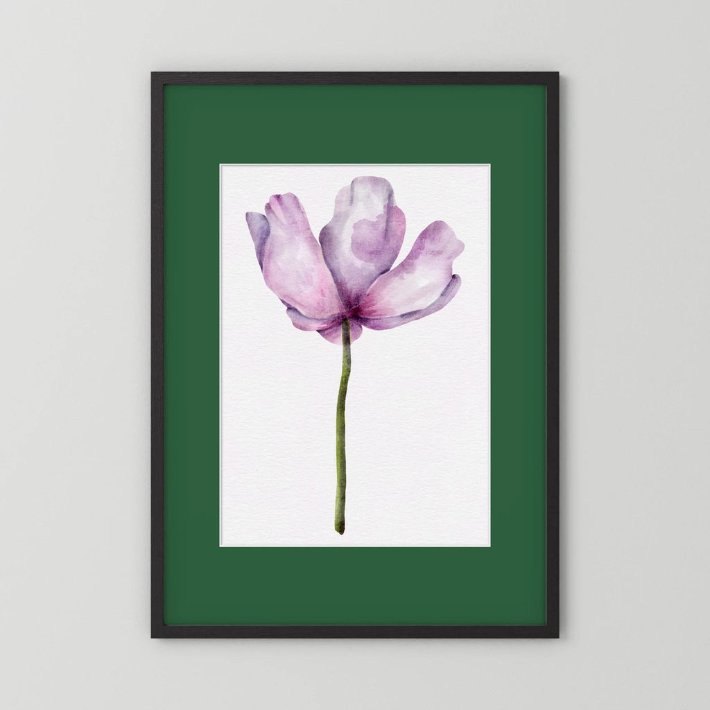 Watercolor Anemone 