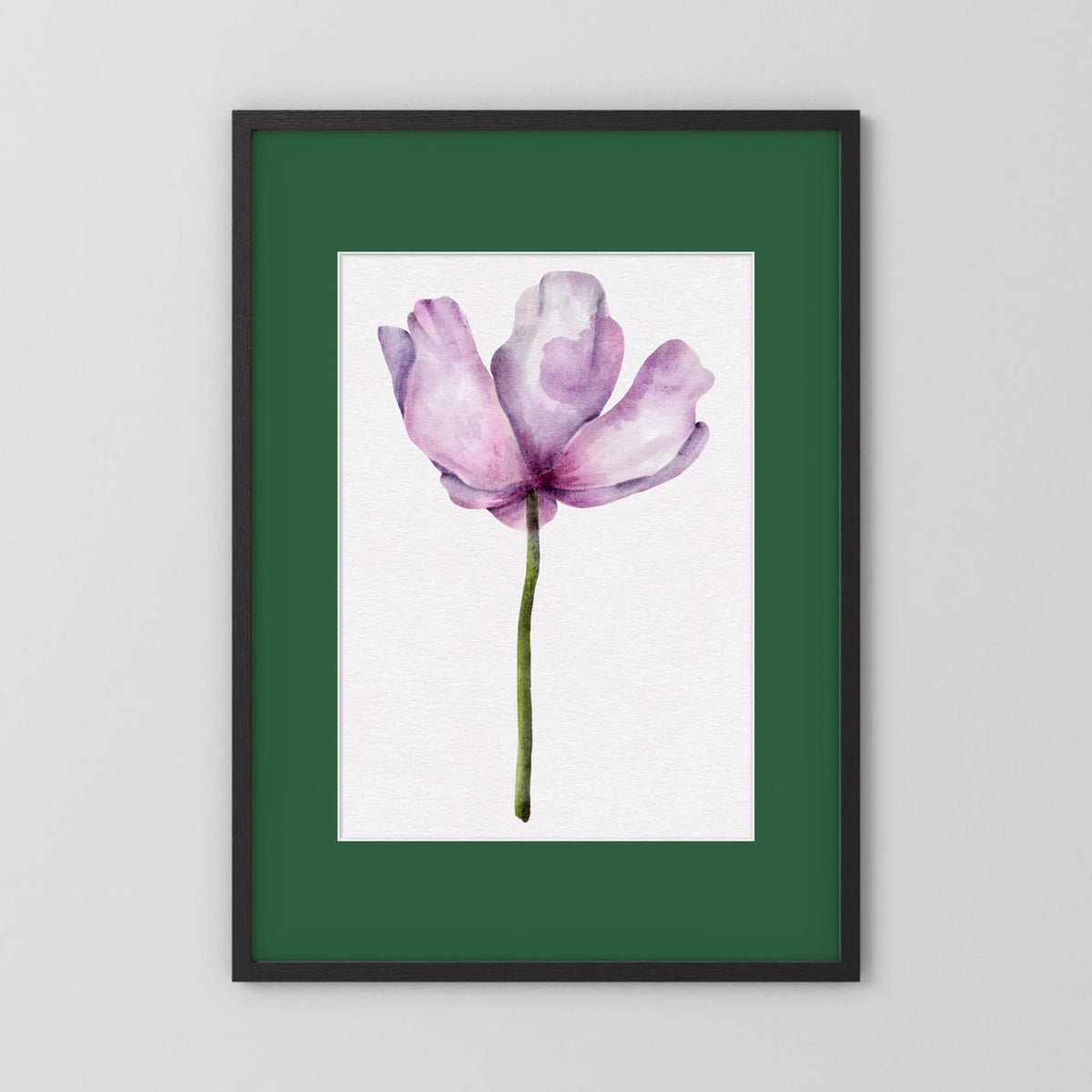 Watercolor Anemone 
