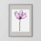 Watercolor Anemone 