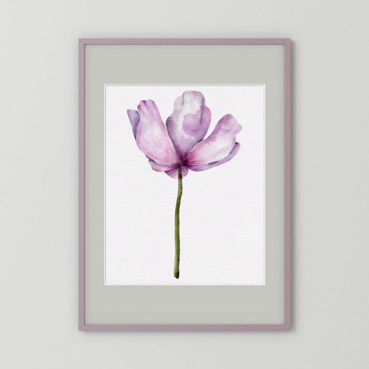Watercolor Anemone 